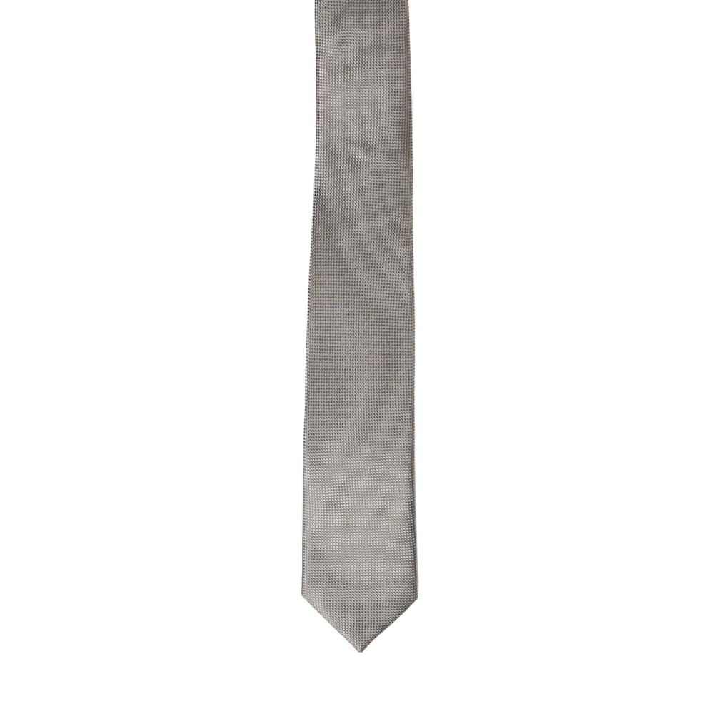 SPT2000-Boy's Silk Textured Gray ColorTie
