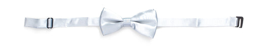 SBT1000 Silver
